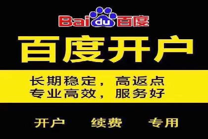 小红书信息流广告策略：成功案例解析